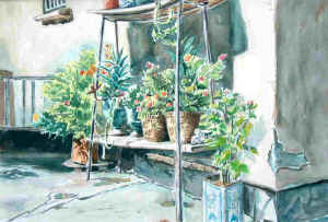 12acquerello18.jpg (47918 byte)