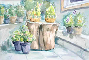 15acquerelli24.jpg (55131 byte)