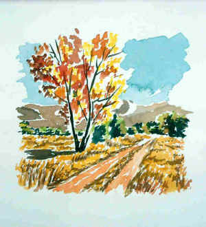 6acquerello38.jpg (38429 byte)