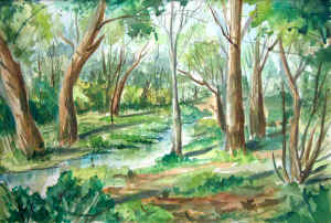 7acquerello.jpg (56015 byte)