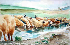 8acquerello.jpg (49354 byte)