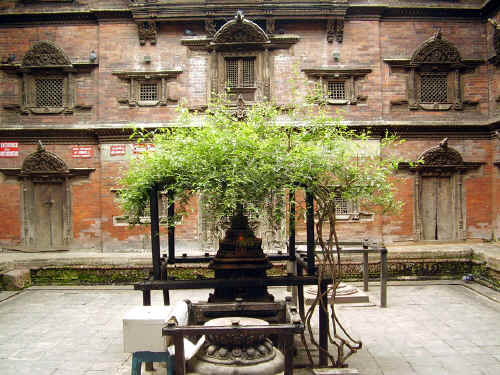 5kumari.jpg (402622 byte)