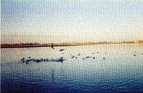 trama25lago.jpg (268537 byte)