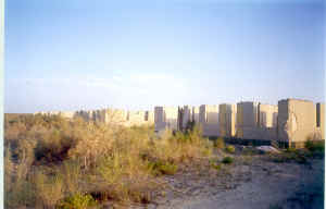 11aral.jpg (69877 byte)