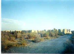 9aral.jpg (89620 byte)