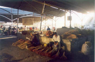 9tashkent.jpg (70690 byte)