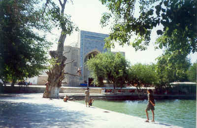 2hauz.jpg (62752 byte)