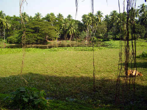 PC240298.jpg (233134 byte)