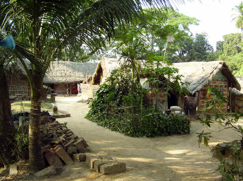 webPC240271.jpg (318552 byte)