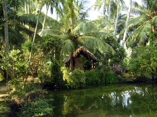 webPC240309.jpg (438516 byte)