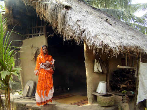 webPC240313.jpg (324079 byte)