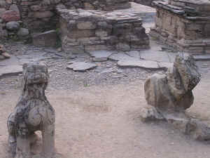 P2040103.JPG (281061 byte)