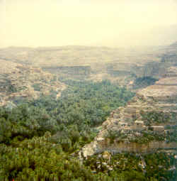 5algeria.jpg (58837 byte)