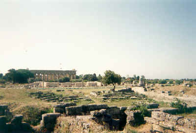 7paestum.jpg (50469 byte)