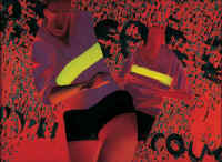 2_g.jpg (48503 byte)