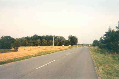 balle.jpg (42926 byte)