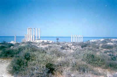 14libia.jpg (51574 byte)