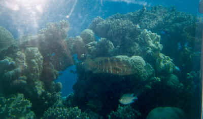 6eilat.jpg (45198 byte)