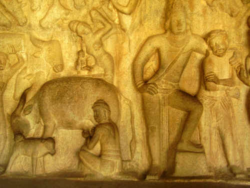 krishnaP7030035.jpg (492195 byte)