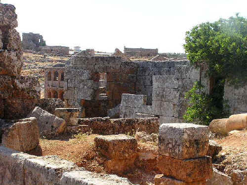 newP1010006.jpg (101146 byte)