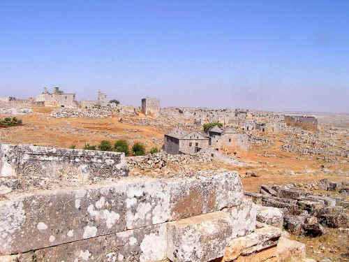 newP1010007.jpg (513083 byte)