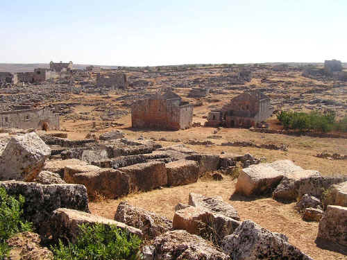 newP1010008.jpg (325173 byte)