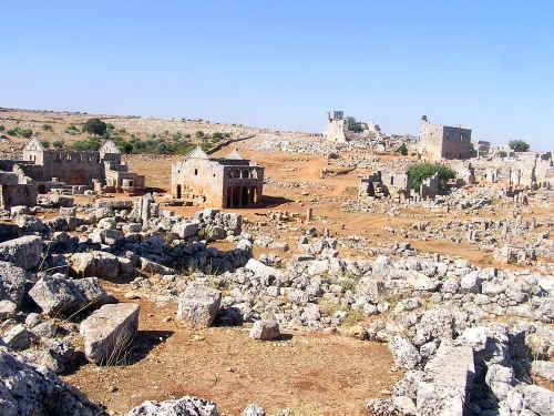 newP1010019.jpg (469597 byte)