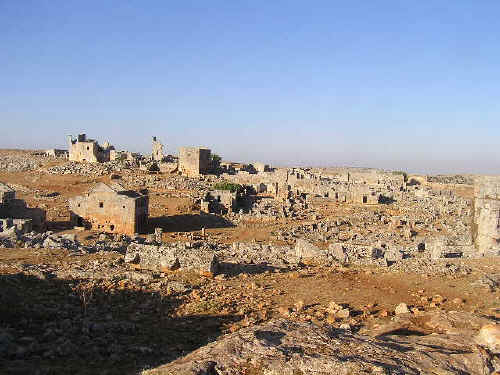 newP1010036.jpg (97399 byte)