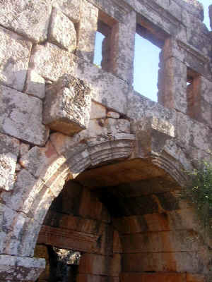 newP1010055.jpg (96345 byte)