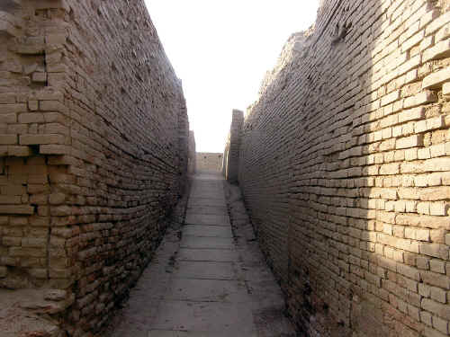 newP1010103.jpg (401464 byte)