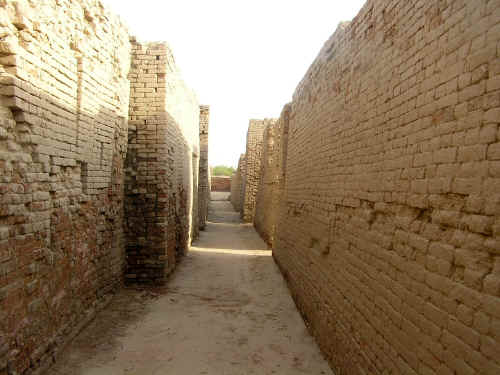 newP1010104.jpg (377118 byte)