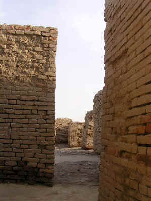 newP1010110.jpg (87780 byte)