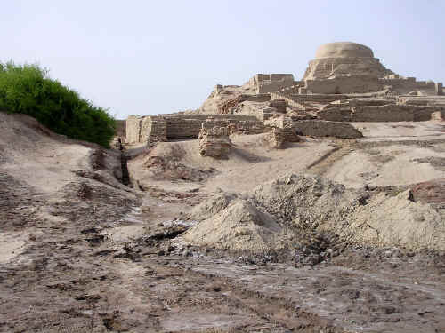 newP1010124.jpg (390391 byte)