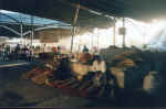 mercato.JPG (167725 byte)