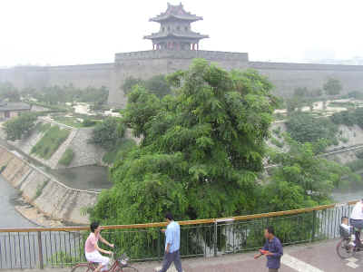 walls.JPG (676601 byte)